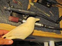 Details in feathers and head